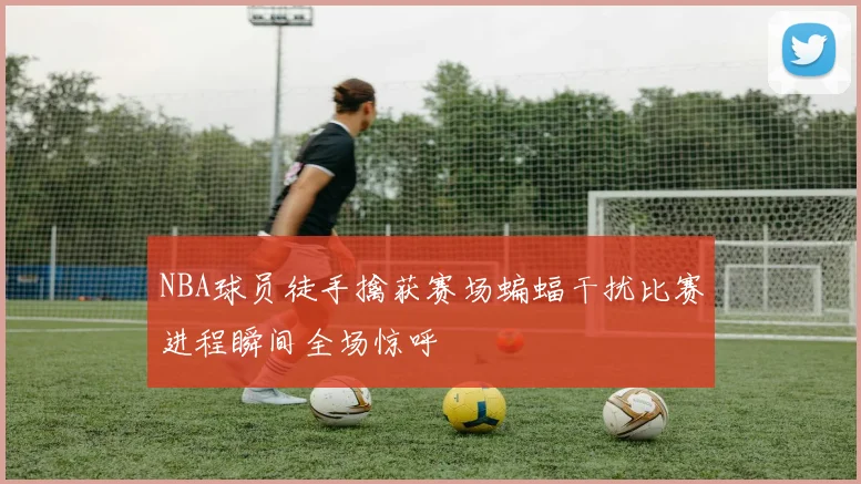 NBA球员徒手擒获赛场蝙蝠干扰比赛进程瞬间全场惊呼